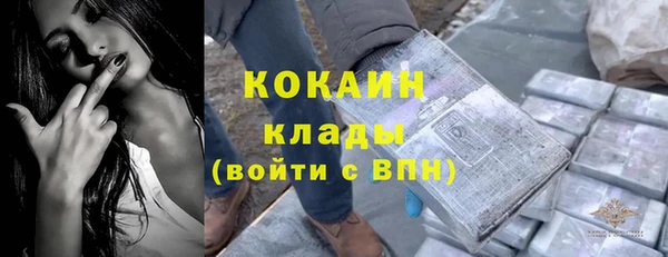 прущие грибы Абинск