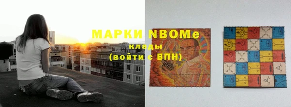 прущие грибы Абинск