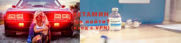 прущие грибы Абинск