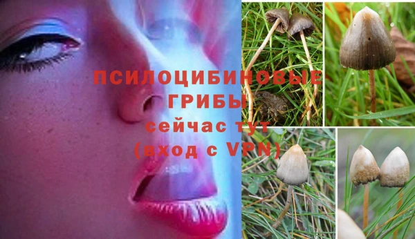 прущий лед Сатка