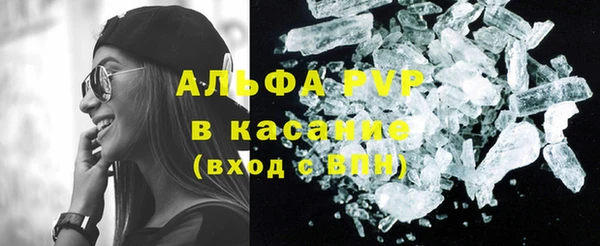 прущие грибы Абинск